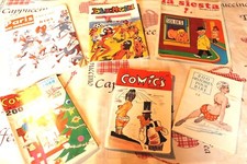 Lot 6 journaux humoristique  DIVERS 5( comics la siesta histoires pour rires ; )