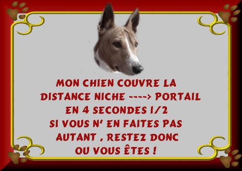 Plaque garde basenji - plaque,