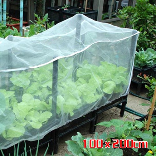 Filet anti insecte 1m - filet, *