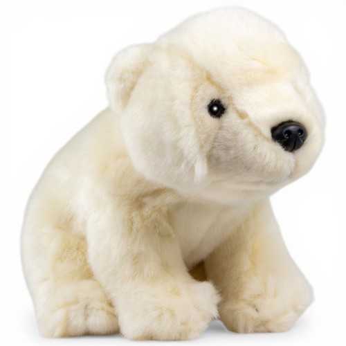 Ours polaire carl - polaire, dick