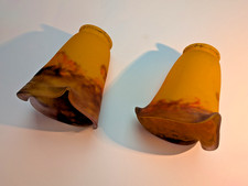 lot de 2 tulipes pâte de