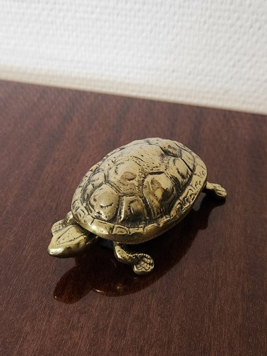 Boîte tortue bronze ou - en,
