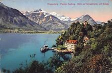 Schweiz - RINGGENBERG (BE) Pension Seeburg - Verlag Brienz 3058