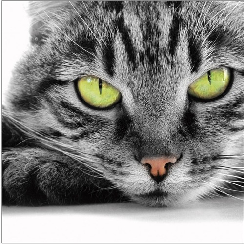 Sticker boites aux lettres - 3,