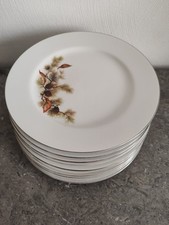 10 Assiettes en Porcelaine ancienne Fine China Japan. Japon