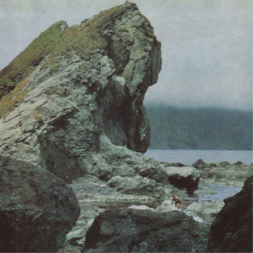 Motorama many nights - nights, (cd)