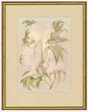 Ann Sedgwick - Aquarelle Du