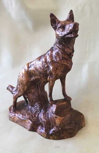 Chien loup régule - loup, en
