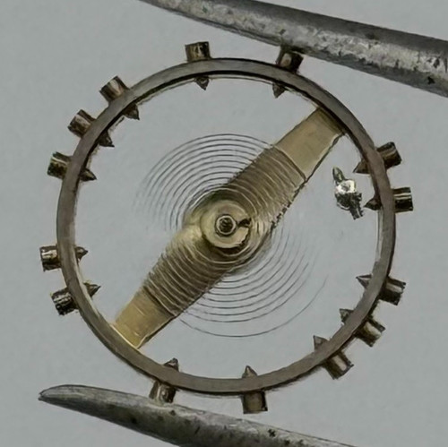 970 roue bascule complète - as,