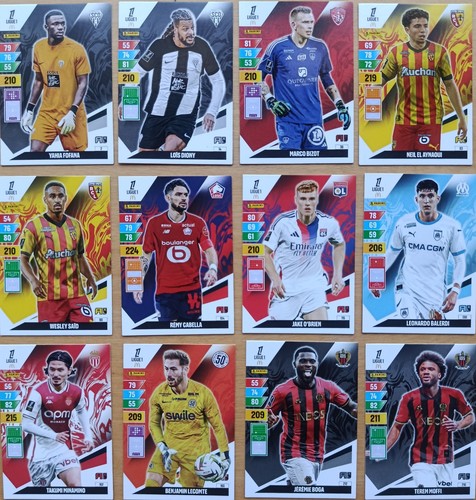 Lot cartes adrenalyn panini - cartes,