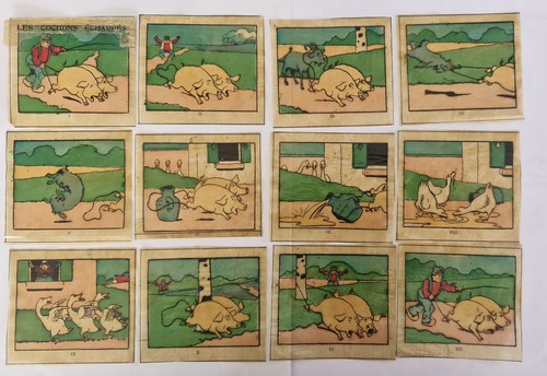 Les cochons echappes vues - cochons,