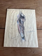 dessin de jacques weismann N24