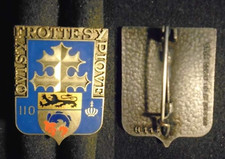 INSIGNE MILITAIRE – 110°