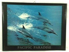Poster in its frame Pacific Paradise Dolphins 30x40 cm Tracked shipping