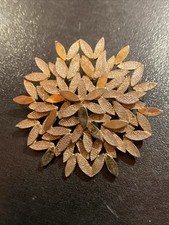 Rare Broche ancienne French