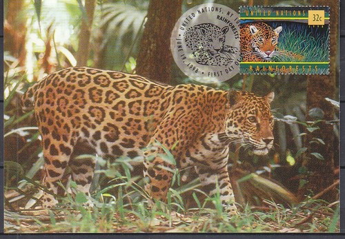 Uno new york1998 - new, 783
