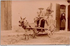 S15663 cpa Carte Photo Attelage Ane