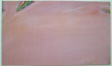 OLIVIER DEBRE  - Carton d invitation - 1987