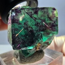 Spécimen rare de cube de