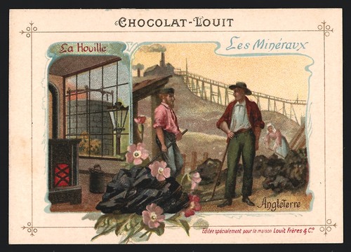 Image collection - image,