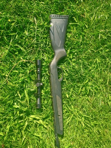 Gamo wildcat whisper - gamo, .177