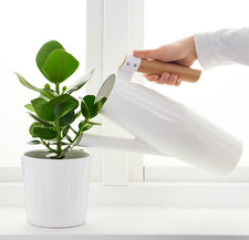 Arrosoir IKEA BITTERGURKA