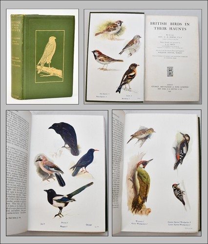 British birds their haunts - in,