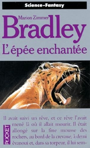 Epée enchantée zimmer - l'epée,