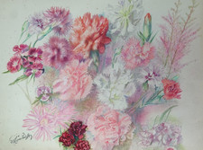 ANCIENNE PLANCHE DE DESSINS