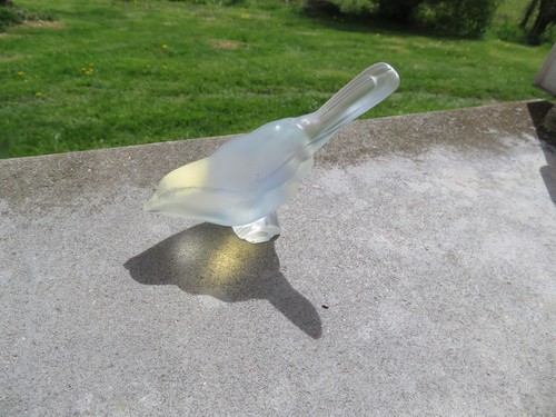 Oiseau opalescent style - oiseau, de