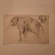 Dessin Ancien Animalier Fond