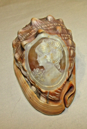 Coquillage camee sculpte - ,