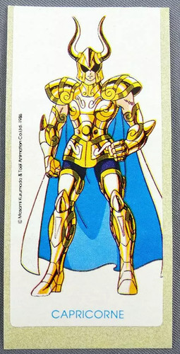 Saint seiya les chevaliers - saint, du