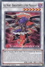 Yu-Gi-Oh! Aile Noire -