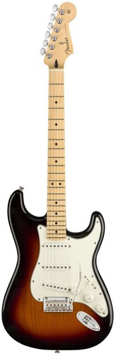 Fender player stratocaster - player, in