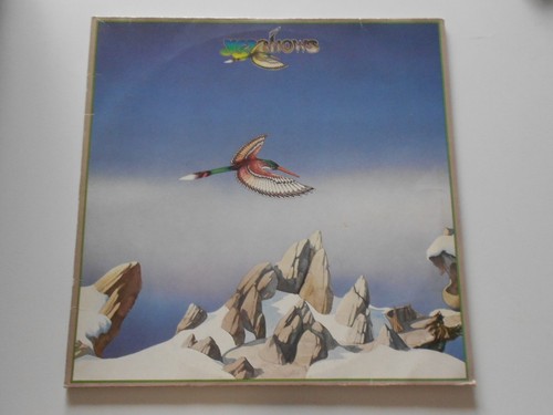 Yes shows - yes,