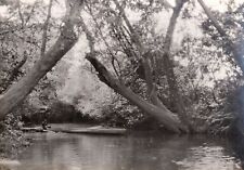 ✒ CROISIERE NOIRE CITROEN photographie originale Rivière N'Barra CENTRAFRIQUE