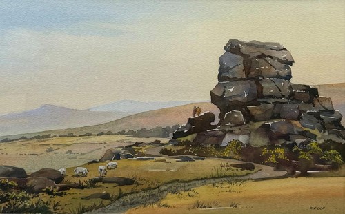 Vue dartmoor national - a,