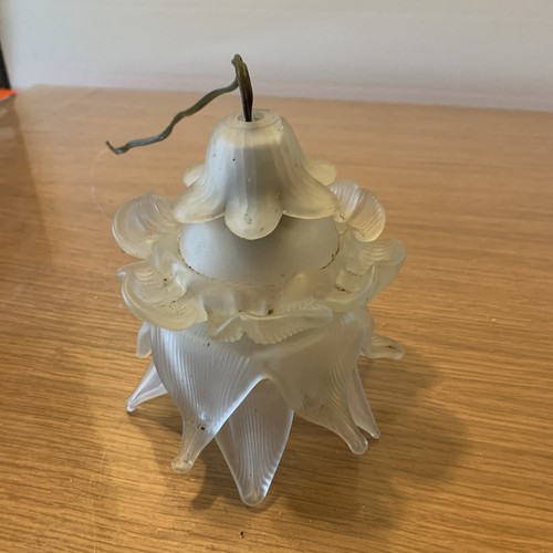 Tulipe fleur pâte - en, de