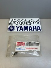 1 goupille maitre cylindre