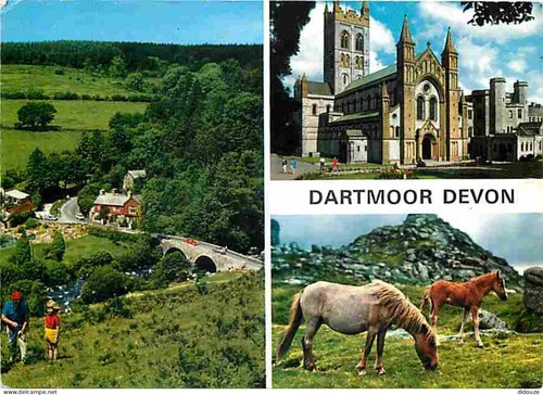 Carte postale animaux - carte,