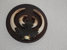 SUR ECUSSON BOIS 18CM FEUILLE CHÊNE LAITON 9X8CM BEAU TROPHEE DE SANGLIER JABALI