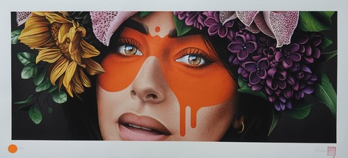 Fin dac print - findac,