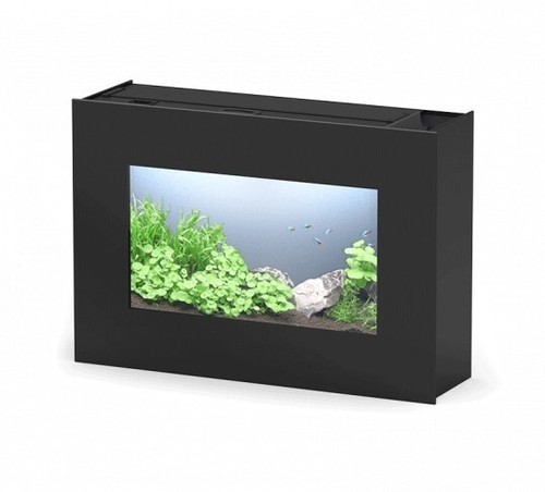 Aquarium complet - aquarium,