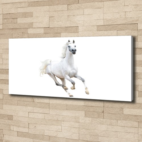Tulup image sur toile - image,