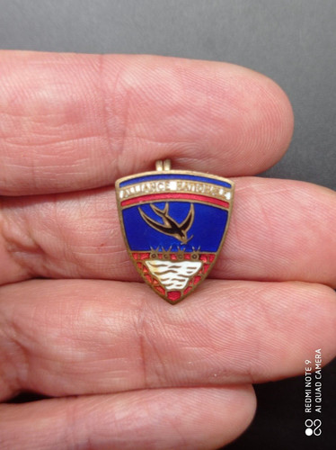 Insigne militaire politique - insigne, ,