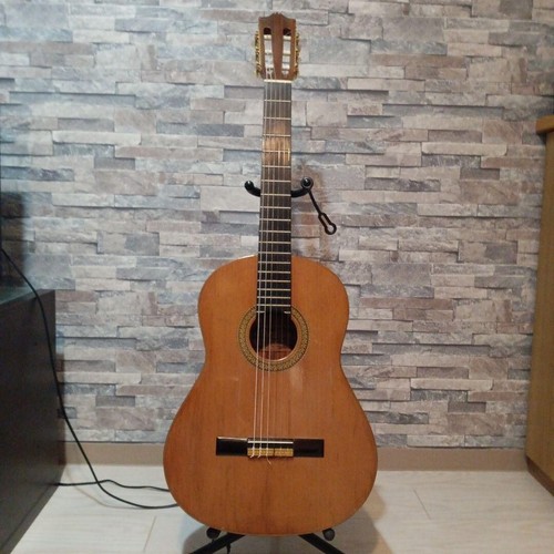 Guitare flamenco hiro tamura - guitare,