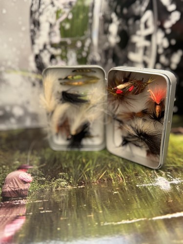 Wheatley metal fly box full - full, of