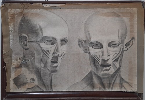 Dessins buste écorché - buste,
