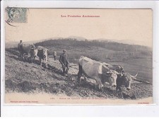 SAINT-GIRONS: scène de